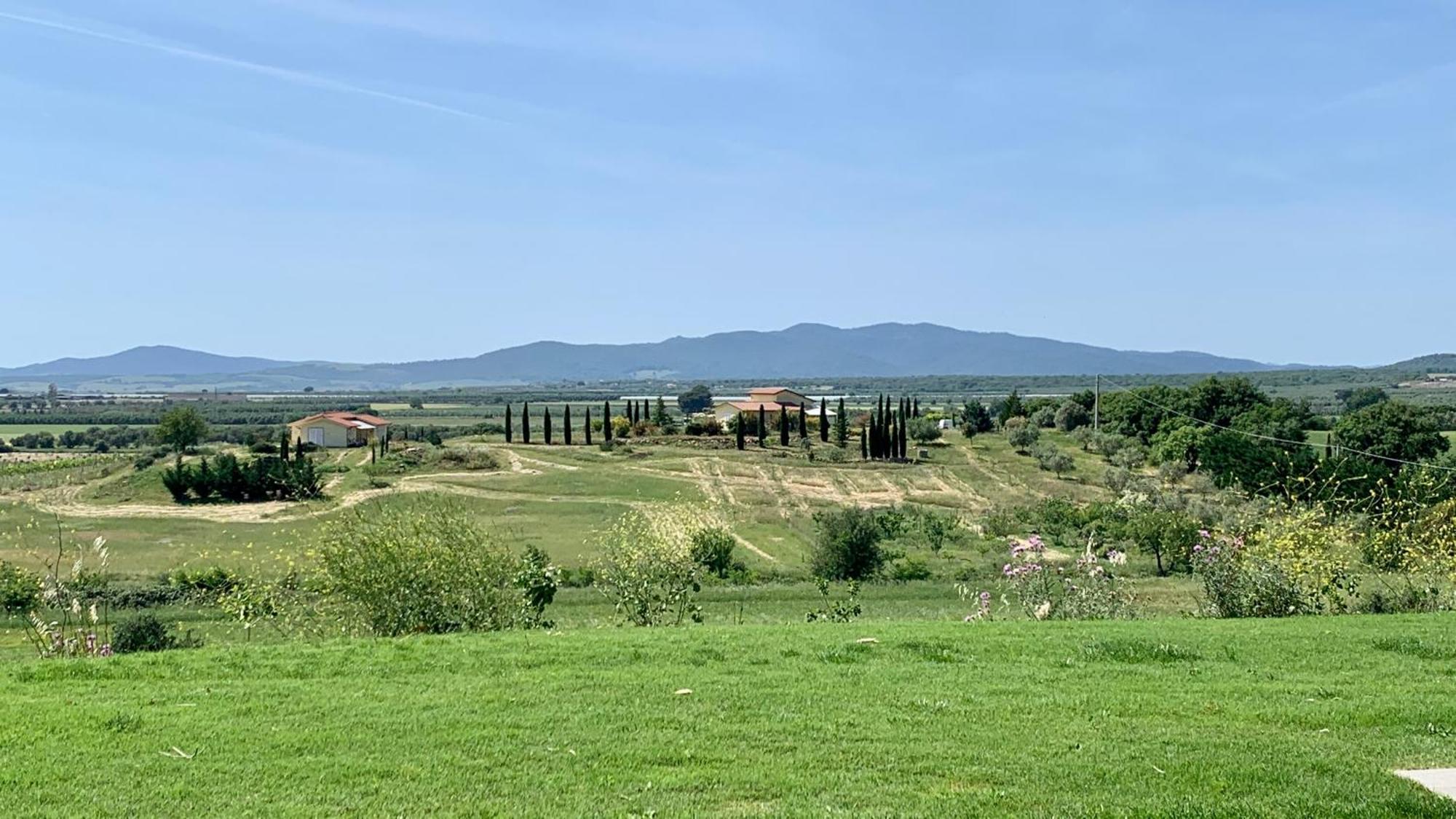 Il Poggio Di Musignano Villa Musignano  Eksteriør billede