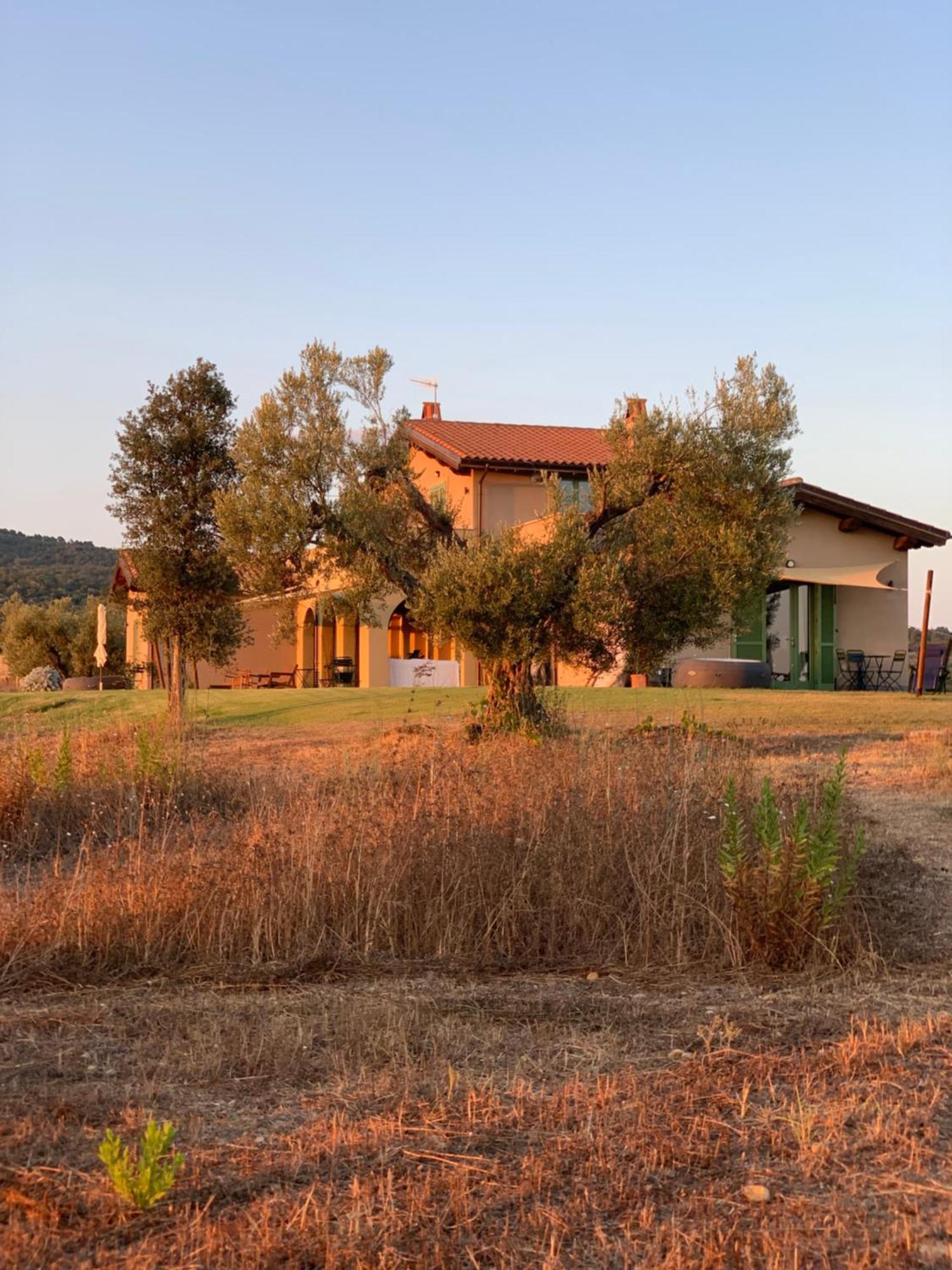 Il Poggio Di Musignano Villa Musignano  Eksteriør billede