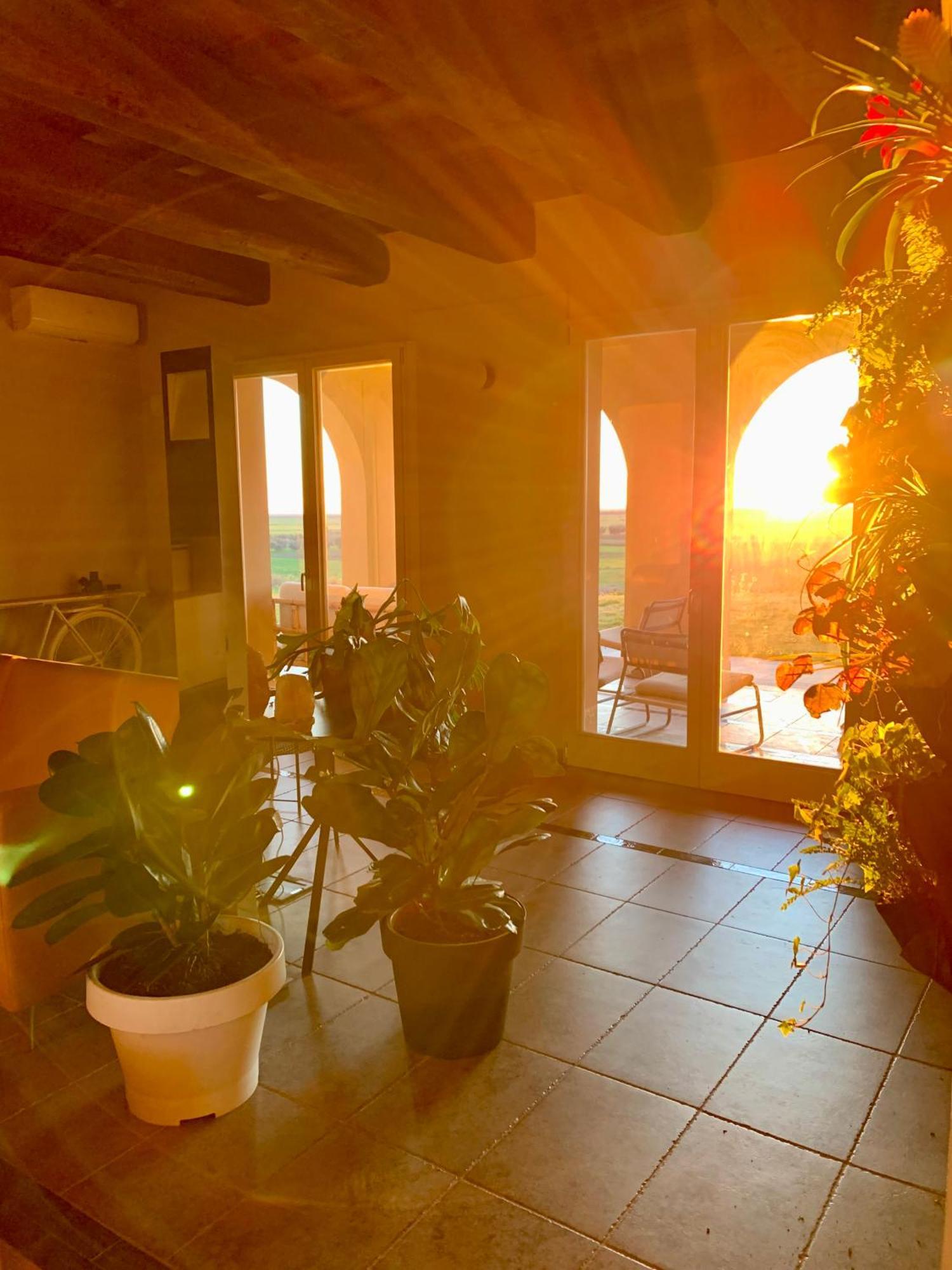 Il Poggio Di Musignano Villa Musignano  Eksteriør billede